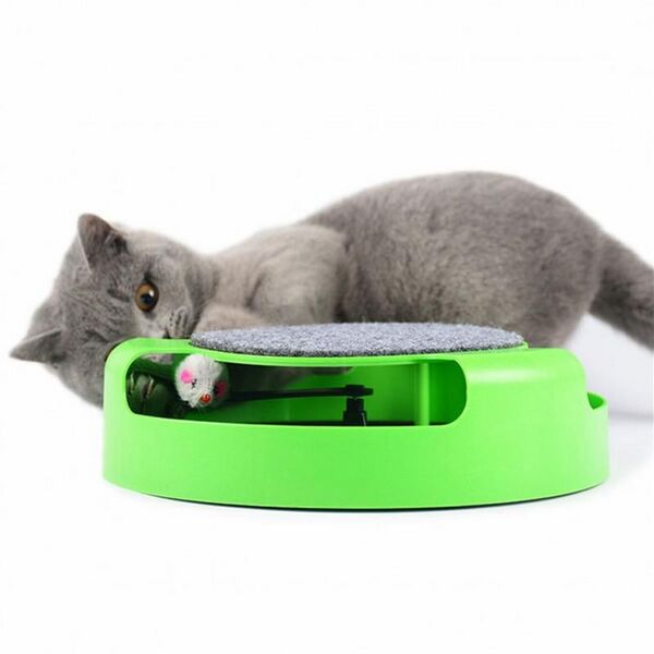 Файл:Game scratching mouse.jpg