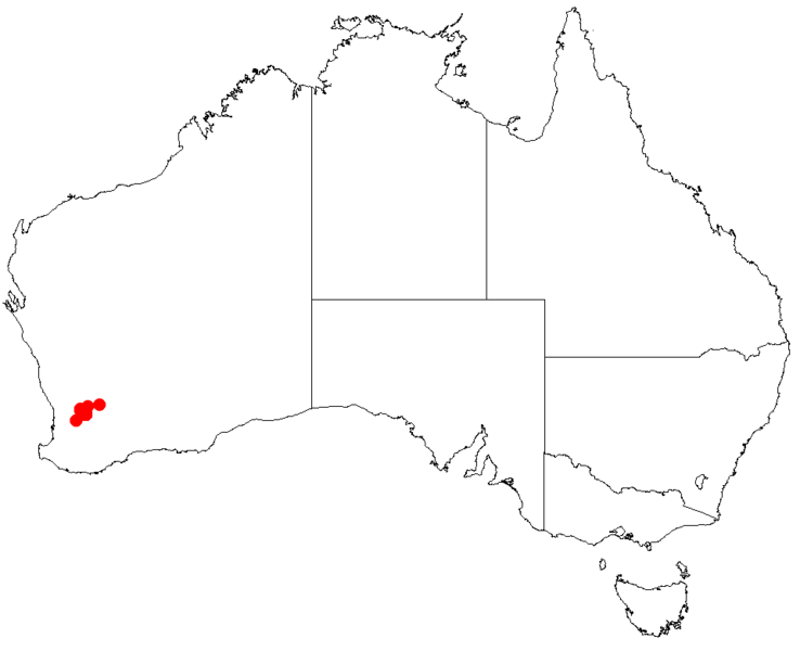 Файл:Hakea aculeataDistMap2.png