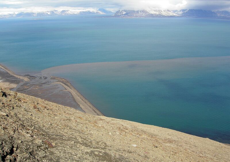 Файл:IsfjordenSediment.JPG