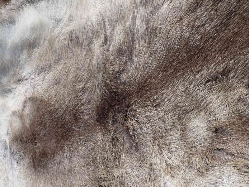 Файл:Rentier Fell.JPG