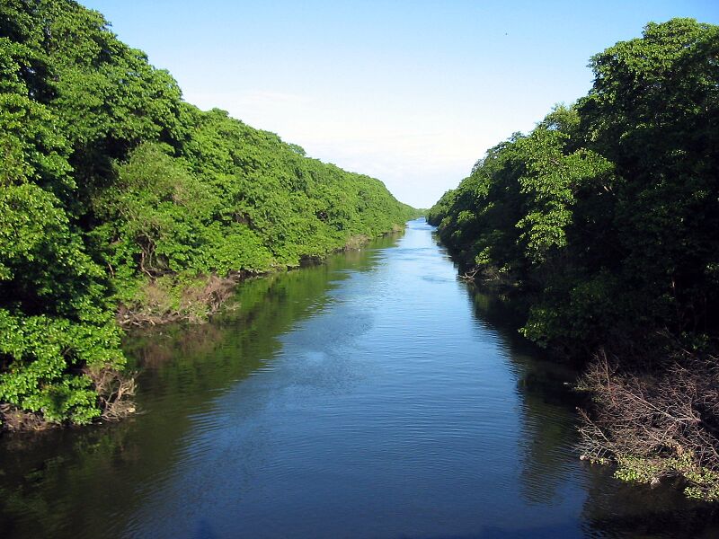Файл:Rio Cocó em Fortaleza.jpg