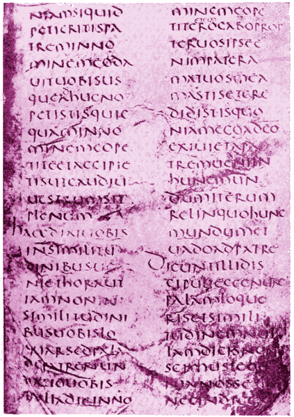 Файл:Vercellensis.gif