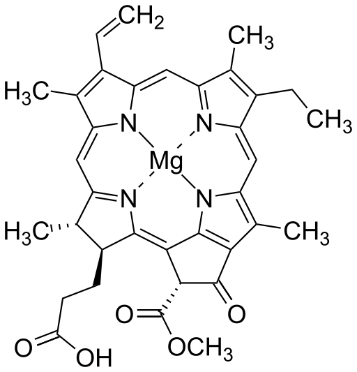 Файл:Chlorophyllide a.svg