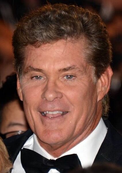 Файл:David Hasselhoff 2013.jpg