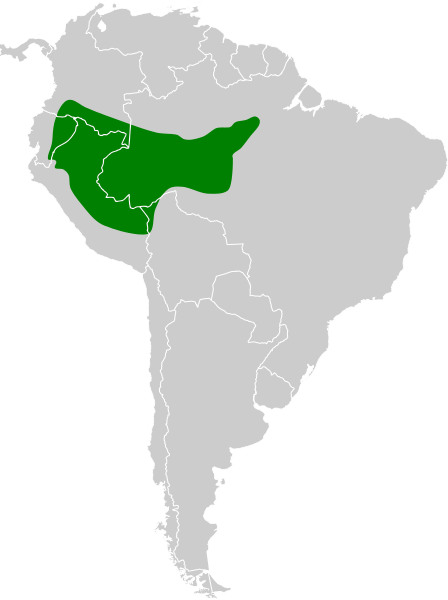 Файл:Liosceles thoracicus map.svg