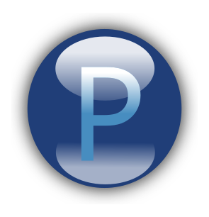 Файл:Payner Logo.svg