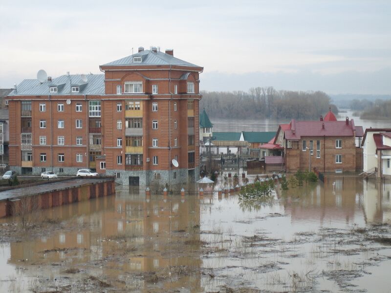 Файл:Si100 0602.JPG