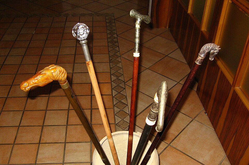 Файл:Walking Canes.JPG