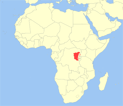 Файл:Cercopithecus lhoesti distribution.svg