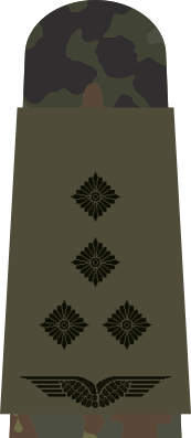 Файл:LA OS5 44 Stabshauptmann.svg