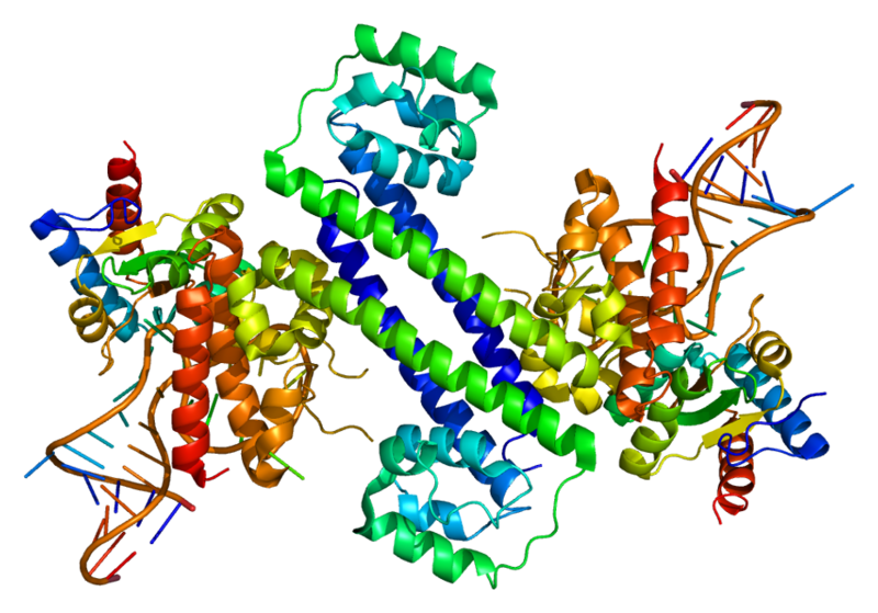 Файл:Protein PRPF31 PDB 2ozb.png