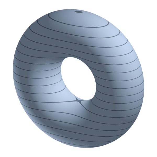 Файл:3D-Leveltorus.png