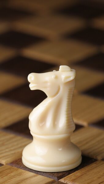 Файл:Chess piece - White knight.JPG