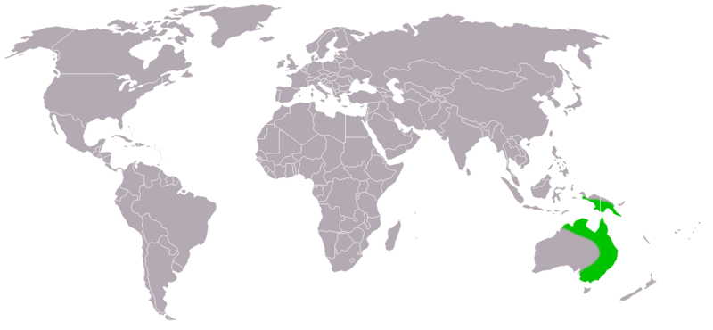Файл:Petaurus breviceps distribution map.png