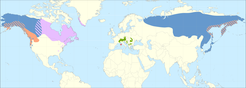 Файл:Alnus viridis range.svg