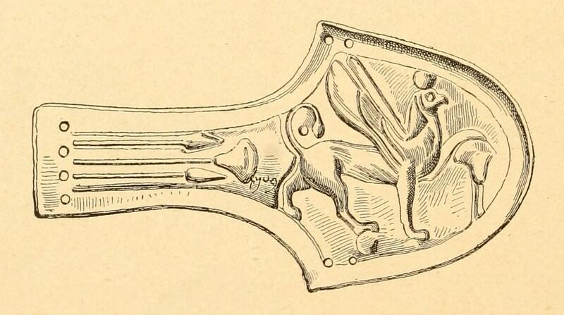 Файл:Paragnathide for Anat.jpg