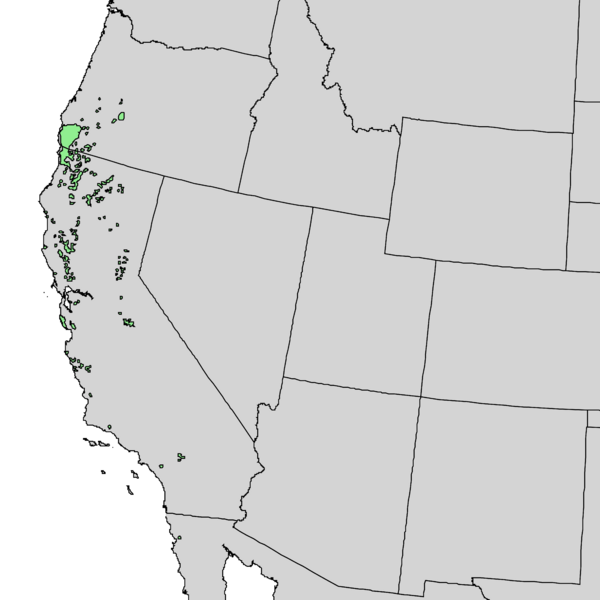Файл:Pinus attenuata range map 1.png
