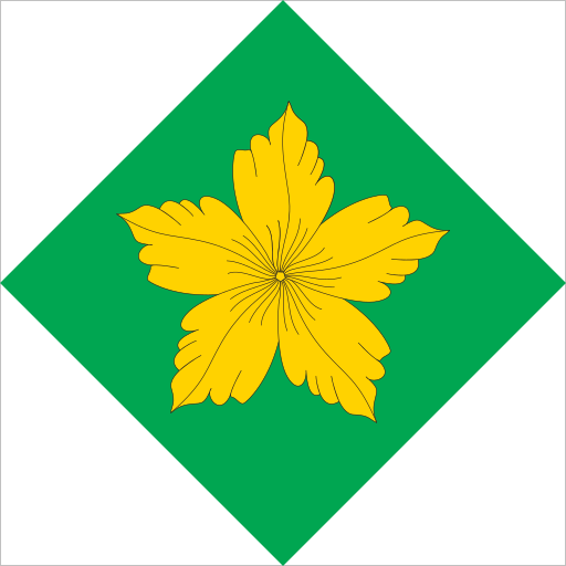 Файл:Rokytne flag.svg
