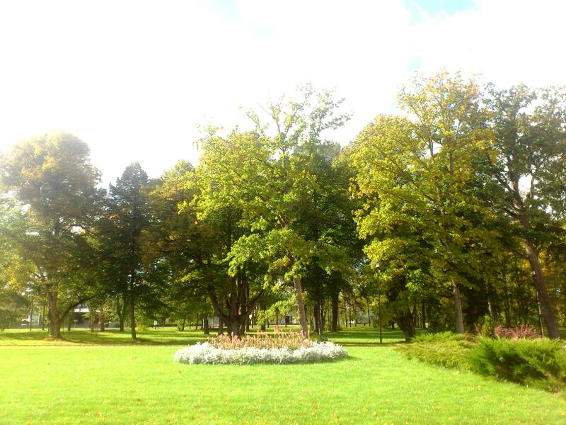 Файл:Tohisoo park.JPG