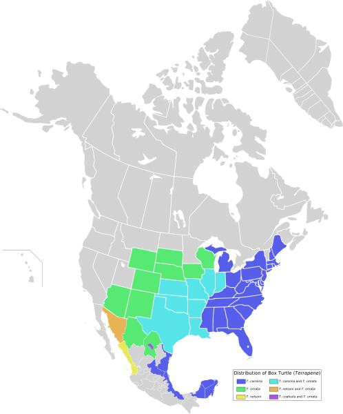 Файл:Box turtle distribution map.svg