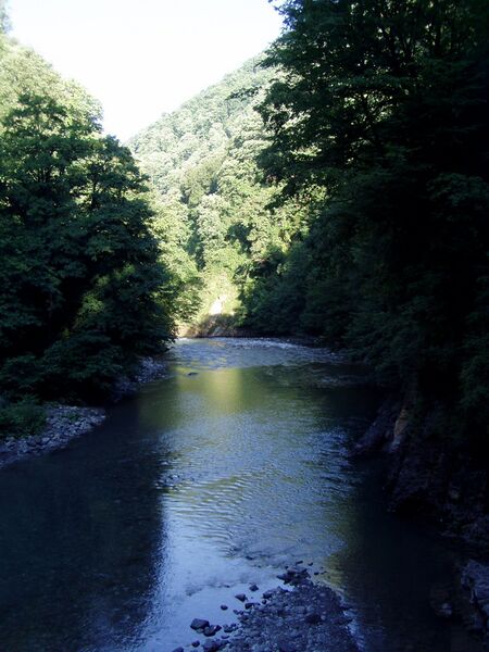 Файл:Sochi river.JPG