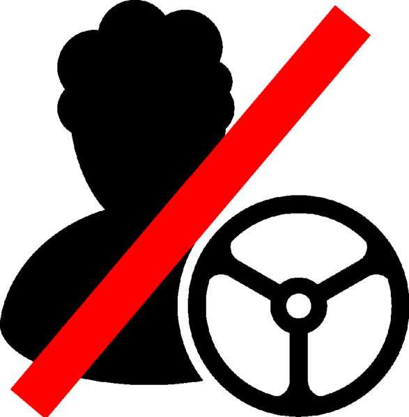Файл:ARCAP Driver X.png