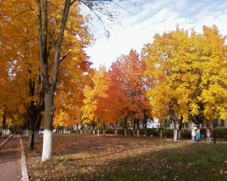 Файл:Bavly park.jpeg