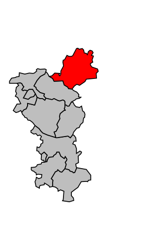 Файл:Map canton code 16 23.svg