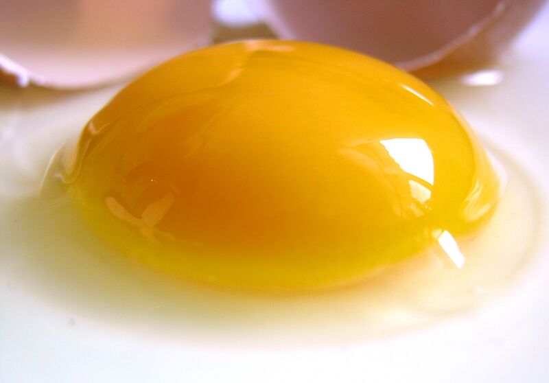Файл:Raw egg.jpg