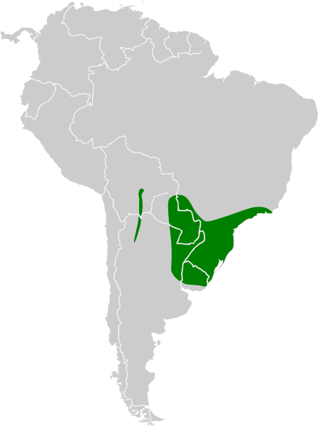 Файл:Cacicus chrysopterus map.svg