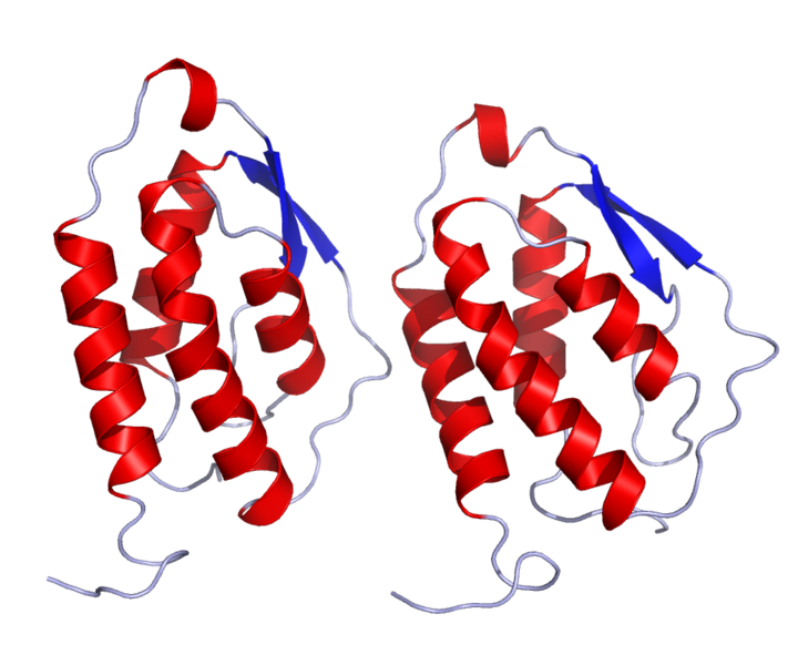 Файл:GMCSF Crystal Structure.rsh.png