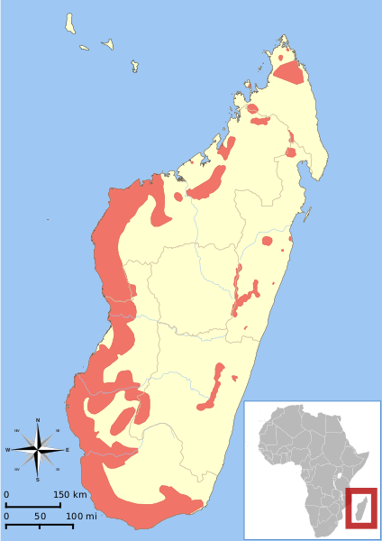 Файл:Microcebus range map.svg
