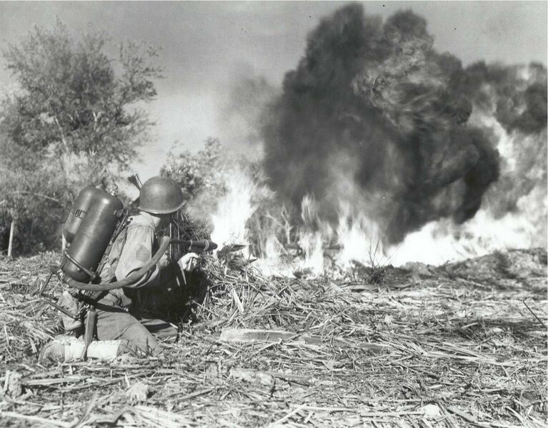 Файл:USm2flamethrower.jpg