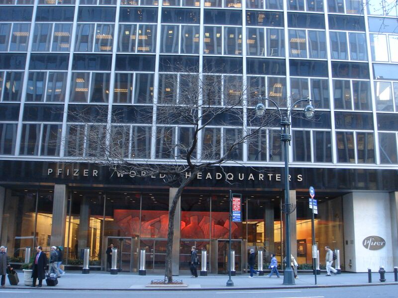 Файл:Pfizer head.JPG