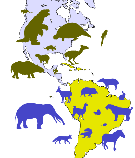 Файл:Great American Biotic Interchange examples.svg
