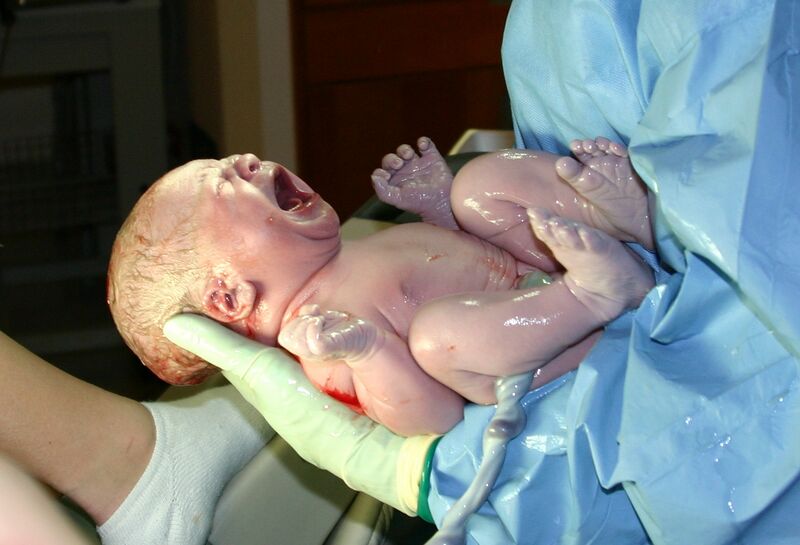 Файл:HumanNewborn.JPG