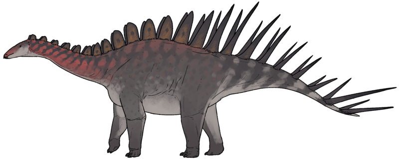 Файл:Alcovasaurus longispinus.png