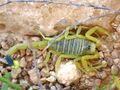 Миниатюра для версии от 11:23, 14 августа 2023