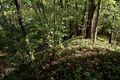 Миниатюра для версии от 02:03, 17 октября 2023