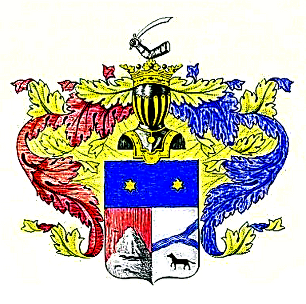 Файл:RU COA Djakov VII-154.png