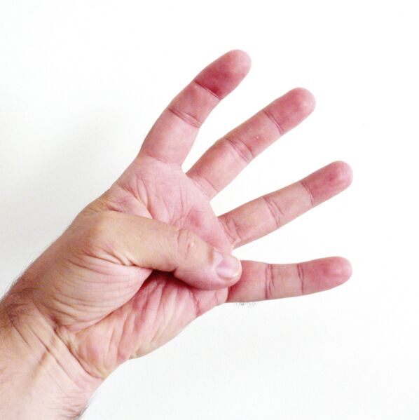 Файл:Finger = 4 open.JPG