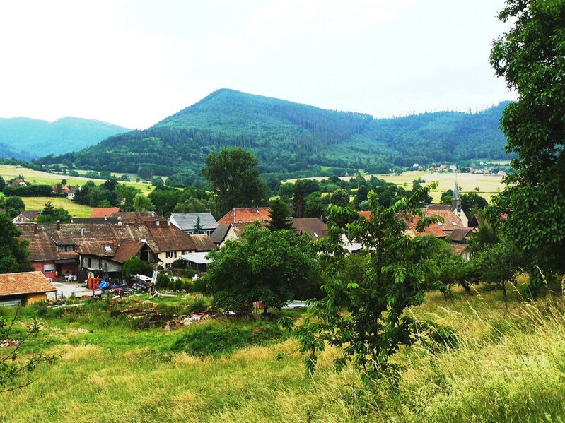Файл:Bassemberg 071.JPG