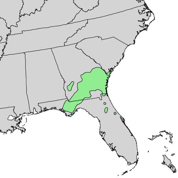 Файл:Pinckneya bracteata range map 1.png