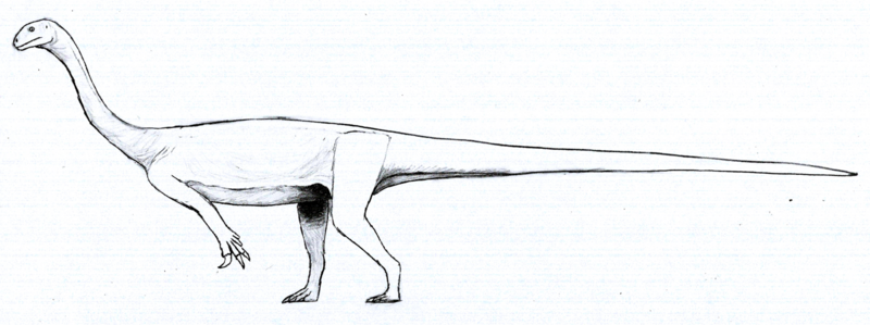 Файл:Arcusaurus LM.png