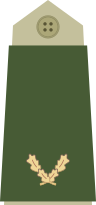 Файл:Army-NOR-OR-01b.svg