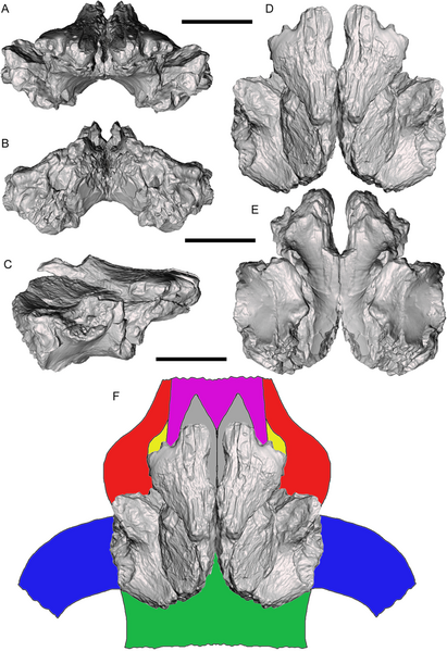 Файл:Dynamoterror frontal complex.png