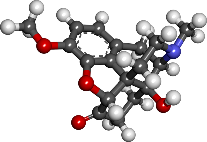 Файл:Oxycodone3.png