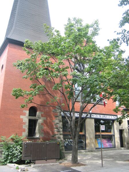 Файл:Alumnae Theatre.JPG