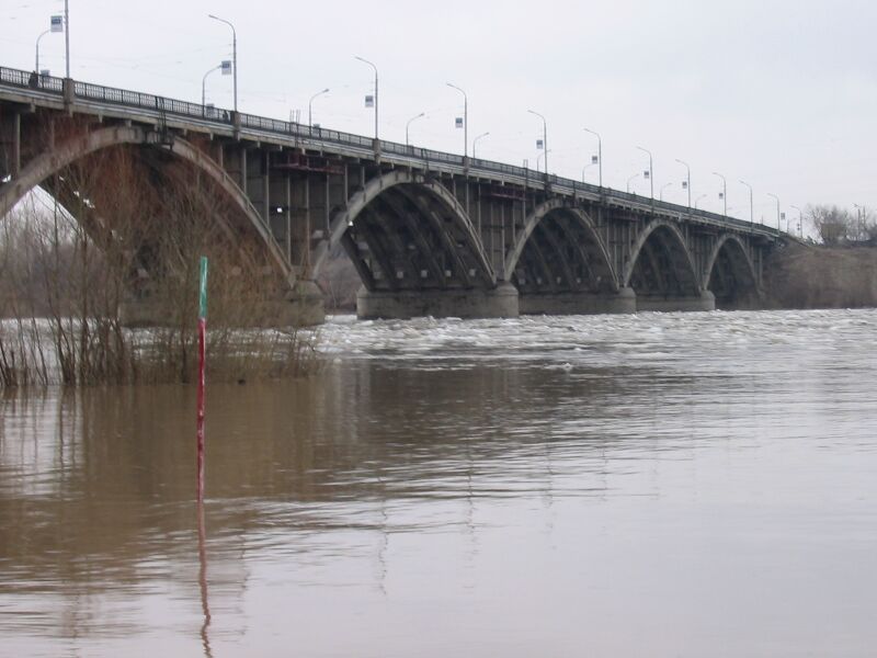 Файл:Biysk bridge.JPG