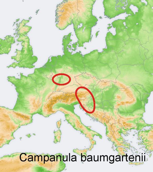 Файл:Distribution map Campanula baumgartenii.png